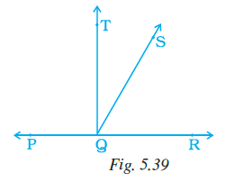 Page 141 Chapter 5 Class 7th NCERT Exemplar